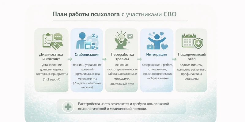 План работы психолога с участниками СВО инфографика